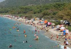 Aydın'da çevrecilerden Milli Park'a girişler sınırlandırılsın talebi