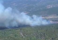Manisa'da orman yangını