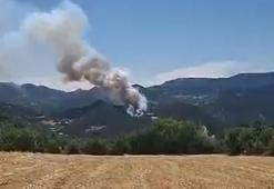 Bolu'da çıkan orman yangını kontrol altında