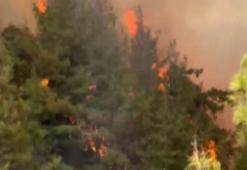 Kahramanmaraş'taki orman yangını 33 saatte söndürüldü