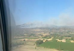 Aydın'ın Bozdoğan'da maki yangını