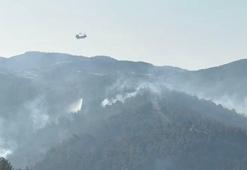 Manisa'daki orman yangını 2’nci gününde