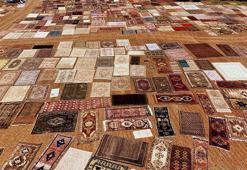 Antalya güneşiyle değeri artan tarihi halılar, koleksiyonerlerin gözdesi