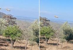 Balıkesir'deki orman yangını 24 saatte kontrol altına alındı