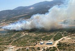 Aydın’daki maki yangını kontrol altında