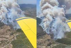 İzmir'de 2 ayrı noktada orman yangını
