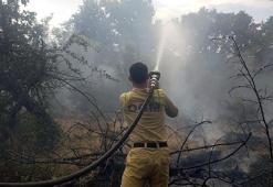 Edirne'deki orman yangını 20,5 saat sonra kontrol altına alındı