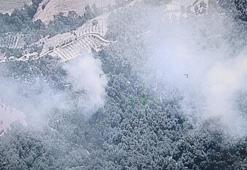 Osmaniye'deki orman yangını kontrol altında