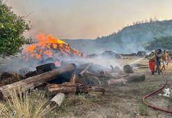 Antalya’daki orman yangını kontrol altında