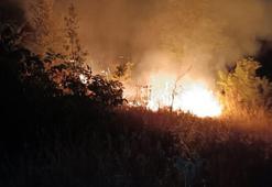 Mersin'deki orman yangını kontrol altında