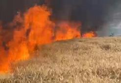 Bursa'da 50 dönüm buğday ekili tarla yandı