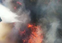 Manisa'daki orman yangını 2’nci gününde