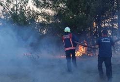 Sakarya'daki orman yangınında soğutma çalışmaları sürüyor
