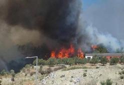 Hatay'da orman yangını