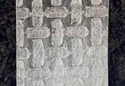 Bilim insanları pirinç yufkasından robot geliştirdi