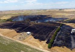Buğday tarlasına sıçrayan yangında 10 dönüm alan zarar gördü