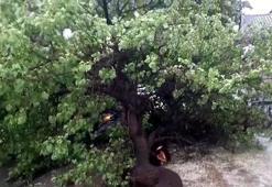 Kağızman'da dolu ve sağanak nedeniyle caddeler göle döndü
