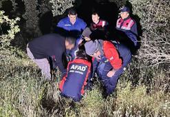 Kaybolan zihinsel engelli kadın, ormanda bulundu