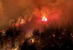 Adana'da orman yangını