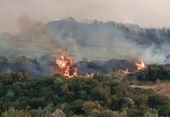 Manisa'da çöplük yangını ormana sıçradı