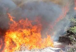 Manisa'nın 4 ilçesinde yangın; 3 ilçede yangın kontrol altında