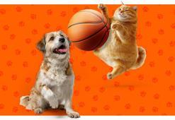 A Milli Kadın Basketbol Takımı’nın attığı her sayı 5 kilo mamaya dönüşüyor