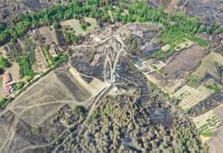 Bilecik’teki yangında Uçan bir kuşun yanarak düştüğünü gördüm