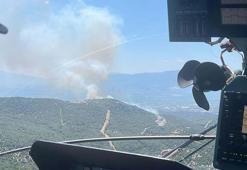 Saruhan'da da orman yangını