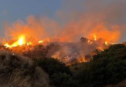 Üzerinde kene bulunan yastığı yakıp, bahçeye atınca yangın çıkmış