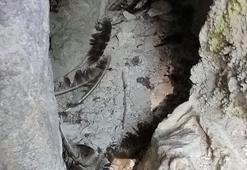 Jandarmadan kaçak kazıya suçüstü