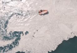 Marmara Denizi'nde robotik kamerayla çalışma belgesel oldu