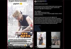 Sokak kedilerine iğne yapıp sosyal medyadan paylaşan kadına hayvanseverlerden tepki