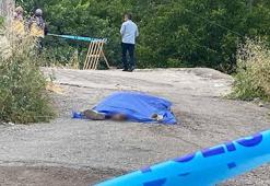 Yürürken düştü, başını asfalta çarpıp öldü