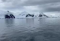 Prof. Dr. Başar: Hızla eriyen buzullar dünyayı ısıtıyor
