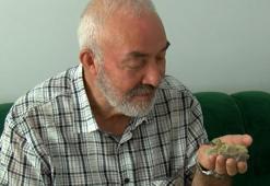 Balkonda bulduğu yavru güvercini özenle besliyor