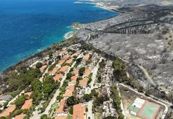 İzmir'in tatil merkezlerinden Seferihisar'da yeşil alanlar, yangın sonrası gri renge büründü