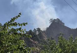 Aydın'da tarım arazisinde yangın