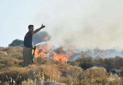 İzmir'deki orman yangını 2'nci gününde