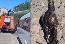 Elektrik telinde akıma kapılan karga, tarlada yangına neden oldu