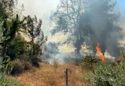 Antalya'da çalılıkta çıkan yangın ormana sıçradı