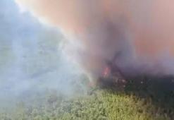 İzmir Buca'da orman yangını