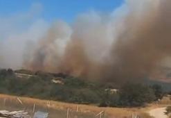 Silivri'de orman yangını