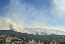 Uşak’ta meşelik yangını kontrol altında