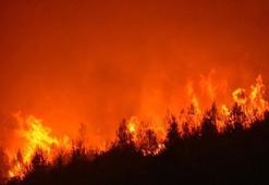 İzmir Buca'da orman yangını