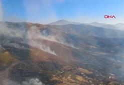 İzmir Ödemiş'teki orman yangını 3'üncü gününde