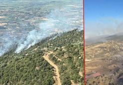 İzmir Ödemiş'teki orman yangını kontrol altında