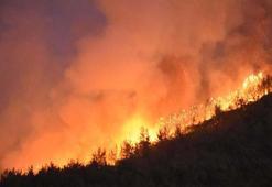 'İzmir'in geçen yıl kuzeyi, bu yıl batısı yangına teslim oldu'
