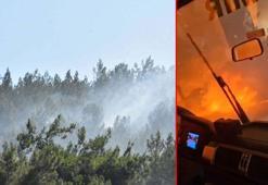 İzmir Buca'daki orman yangını kontrol altında