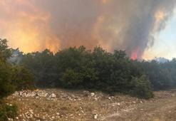 Eskişehir'de orman yangını kontrol altında