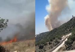 Gabar Dağı’nda orman yangını